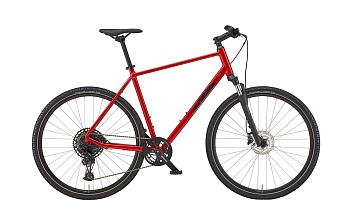 X-LIFE CROSS